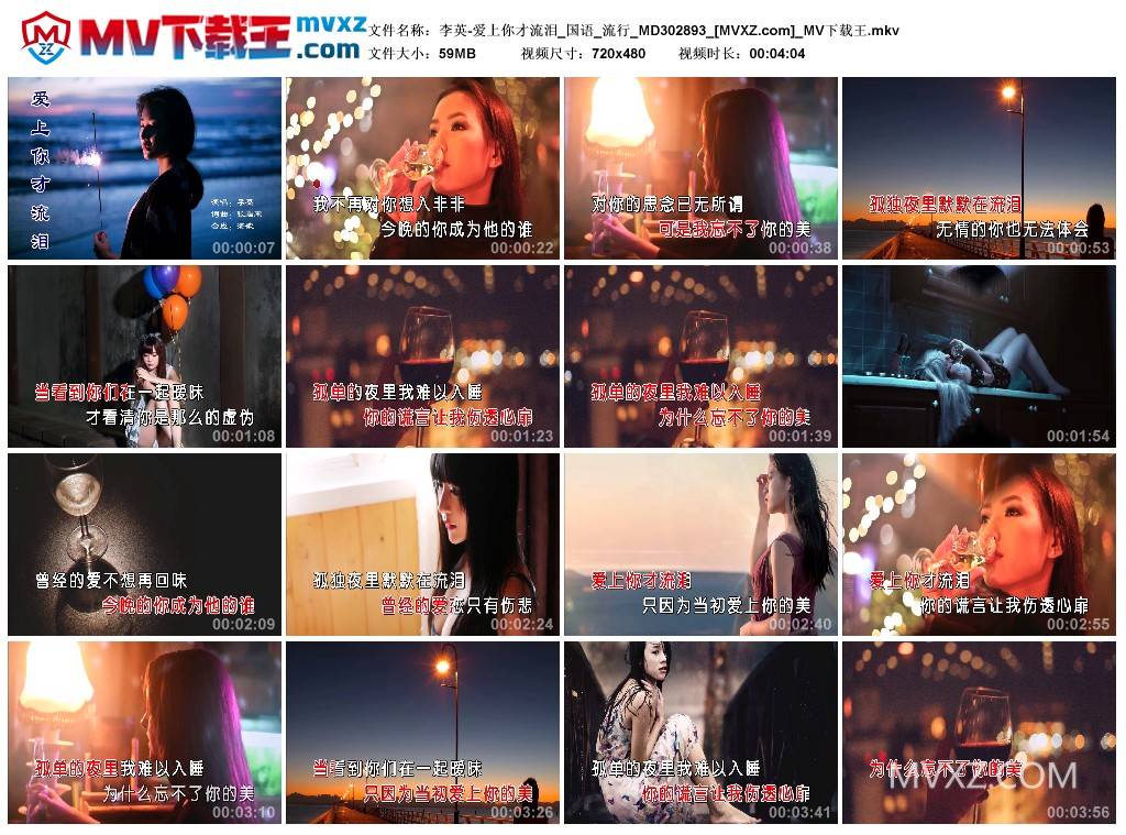 李英-爱上你才流泪_国语_流行_MD302893